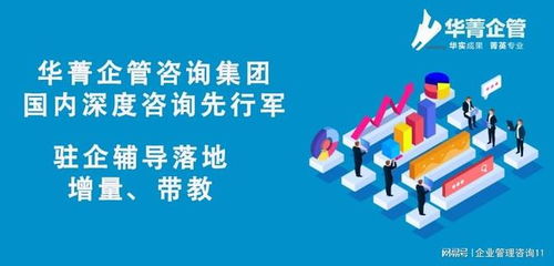 卓越跨境電商企業(yè)的戰(zhàn)略導(dǎo)航者——頂尖咨詢管理機(jī)構(gòu)全解析